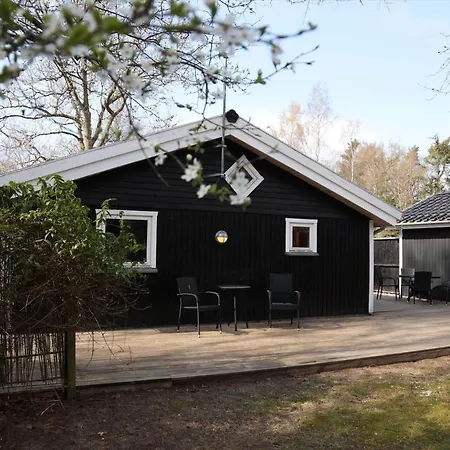 13364-1-vig-bogevaenget-6 *