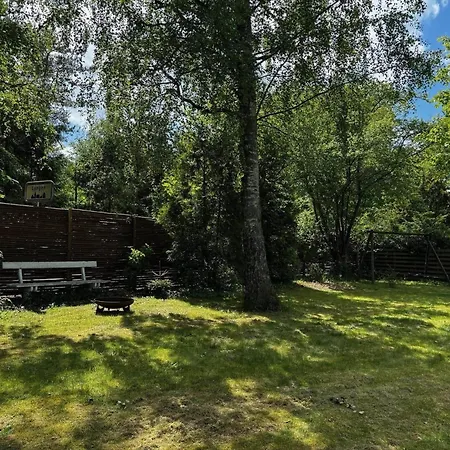 13364-1-vig-bogevaenget-6 Holiday home Vig