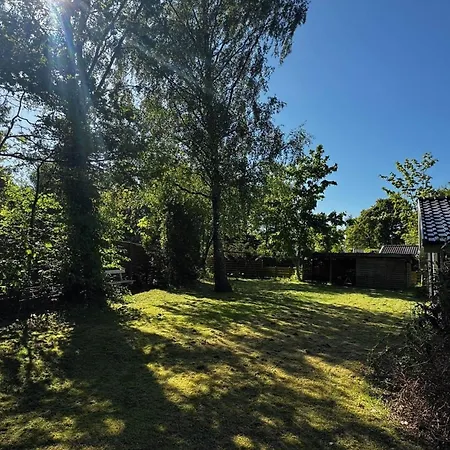 Holiday home 13364-1-vig-bogevaenget-6